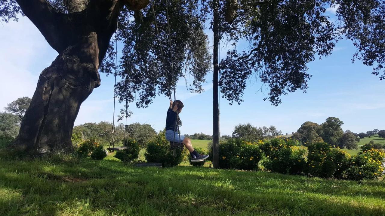 Herdade Reguenguinho Cercal do Alentejo Exterior foto