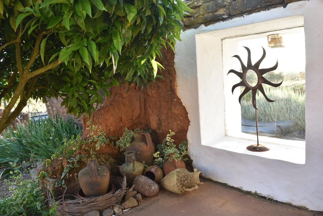Herdade Reguenguinho Cercal do Alentejo Exterior foto